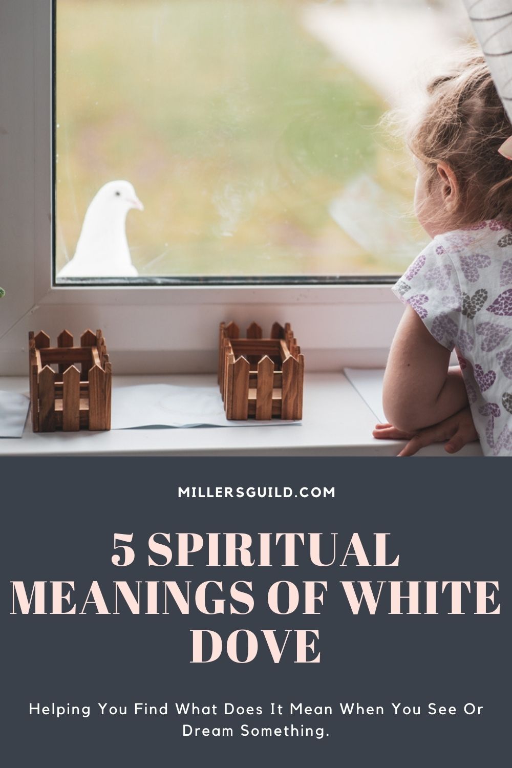 Spiritual Meanings of White Dove