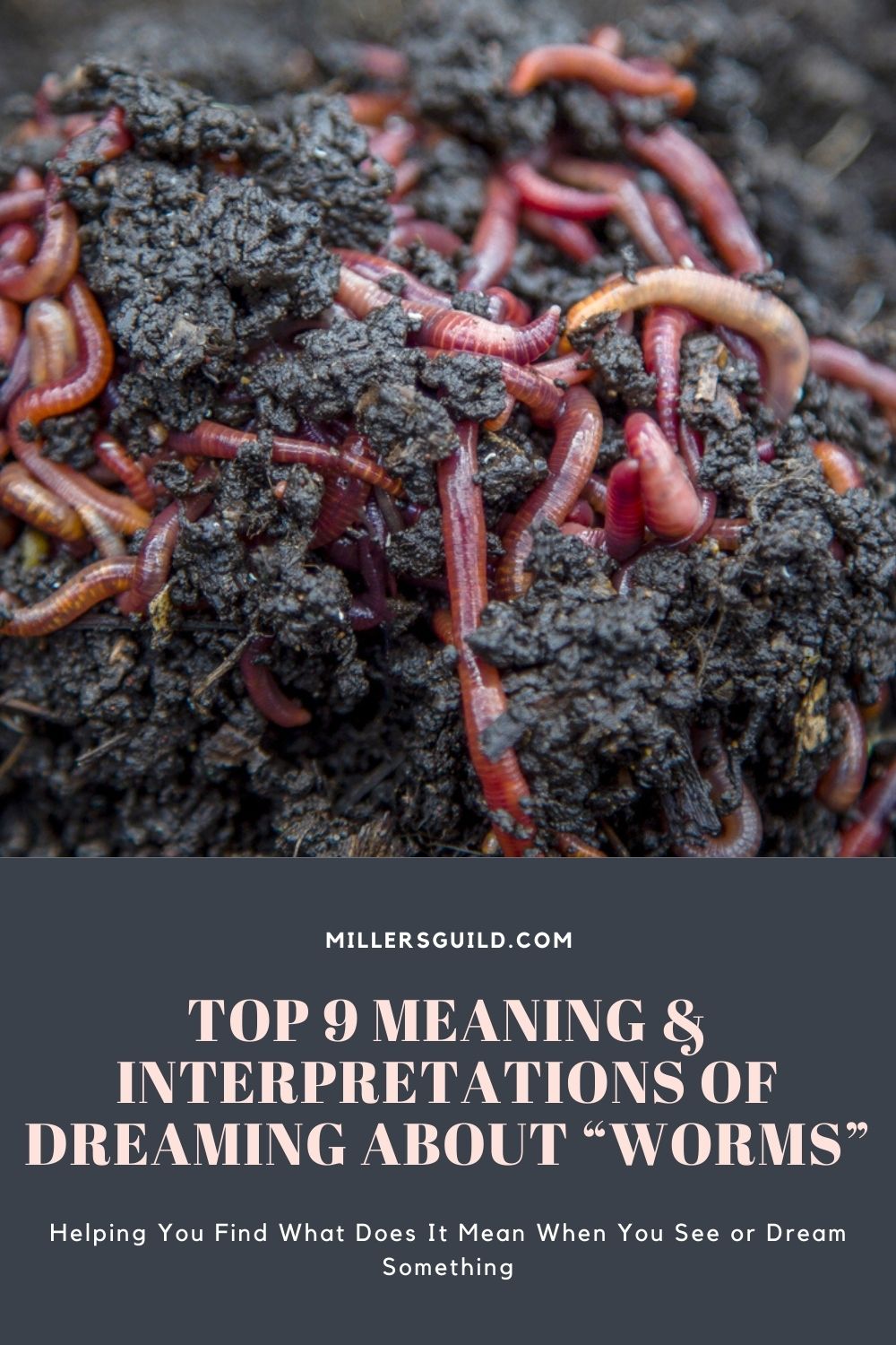 Top 9 Meaning & Interpretations Of Dreaming About "Worms"