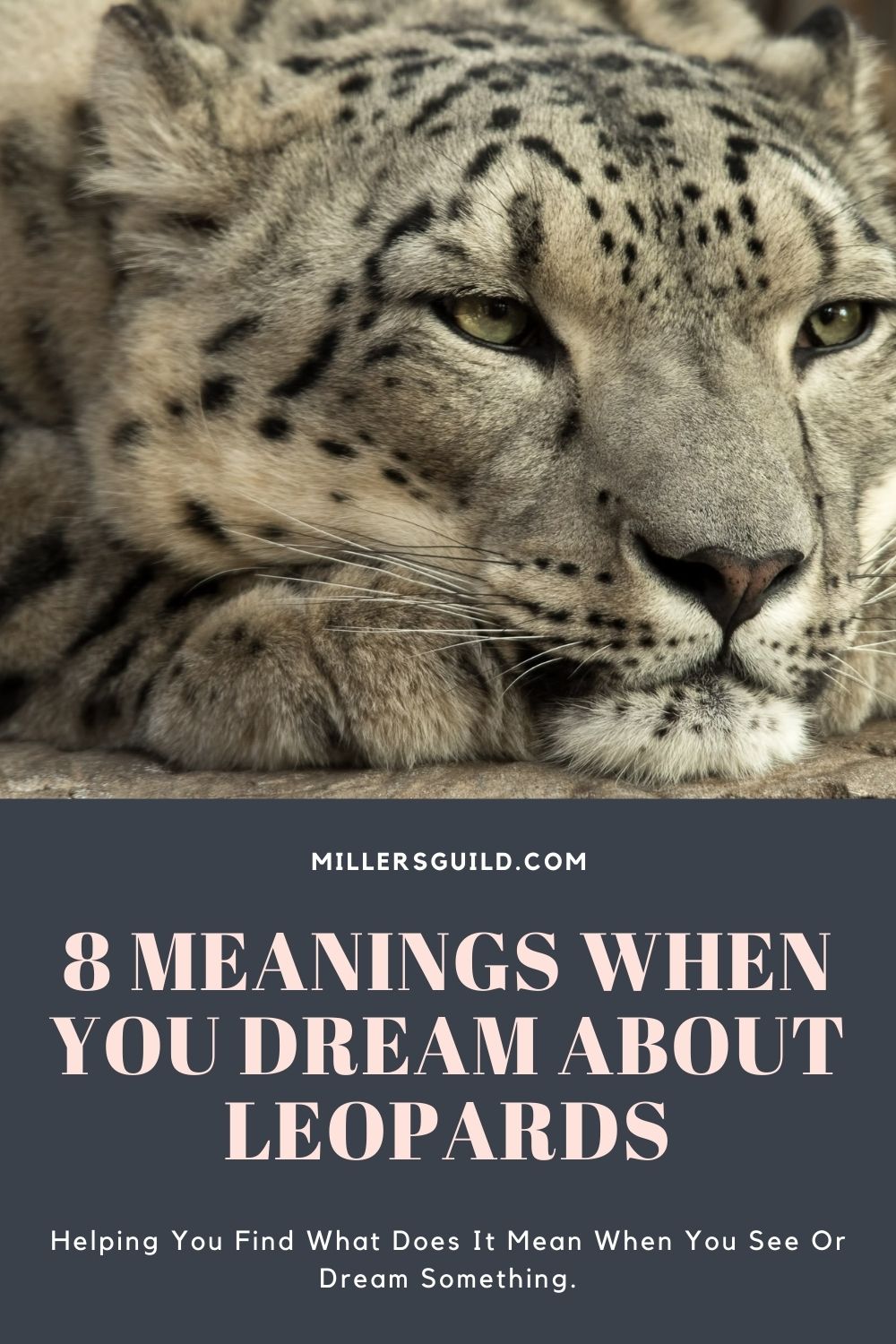 8-meanings-when-you-dream-about-leopards