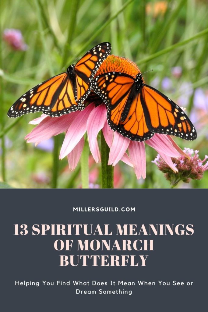 monarch butterfly visit meaning